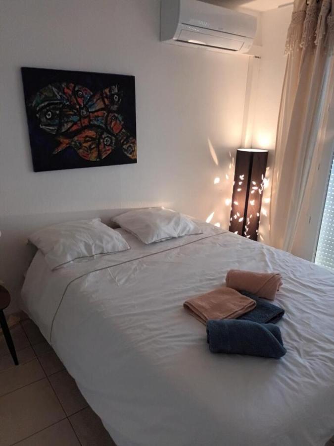 Appartement T2, Climatise, Wifi, Parking Et Piscine Prives セット エクステリア 写真